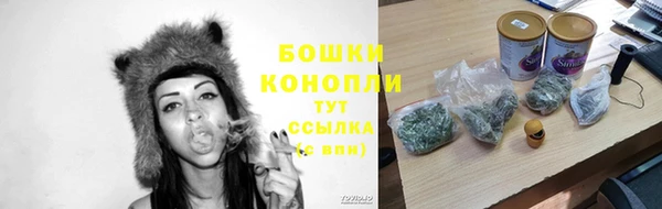 молекула духа Верея