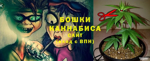 молекула духа Верея