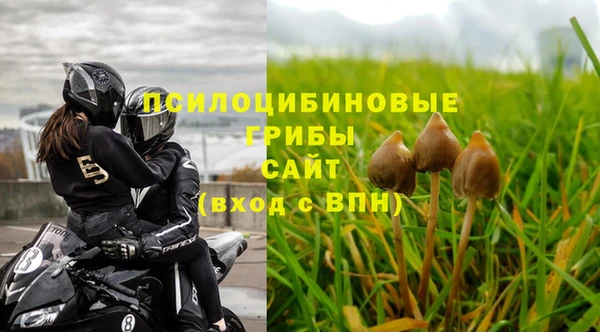 дурь Верхний Тагил