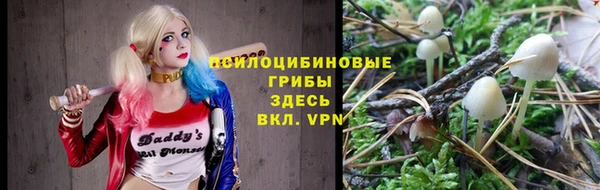 дурь Верхний Тагил
